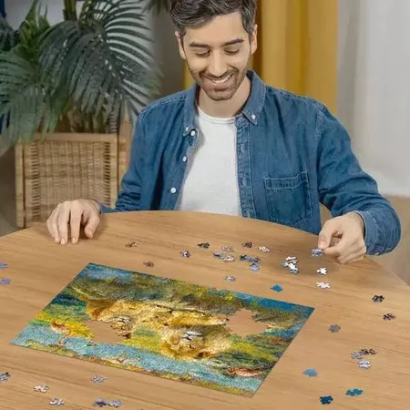 Ravensburger Puzzle - Löwen in der Savanne, 500 Teile