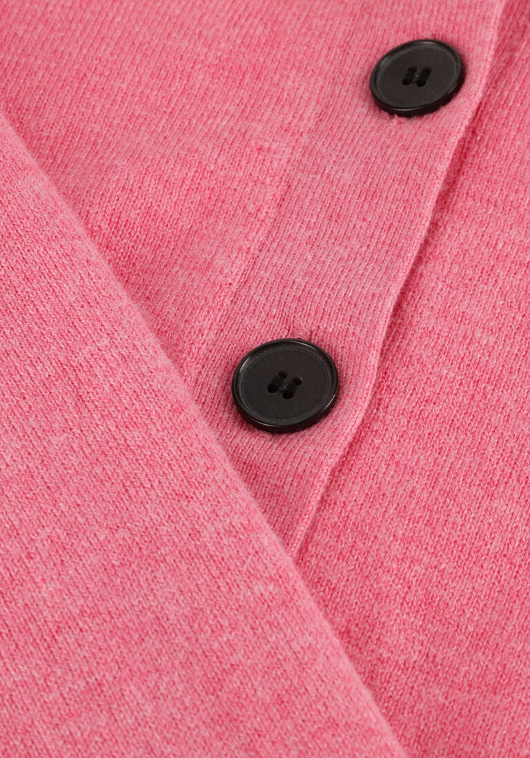 roze isabel marant truien/vesten newton-gz
