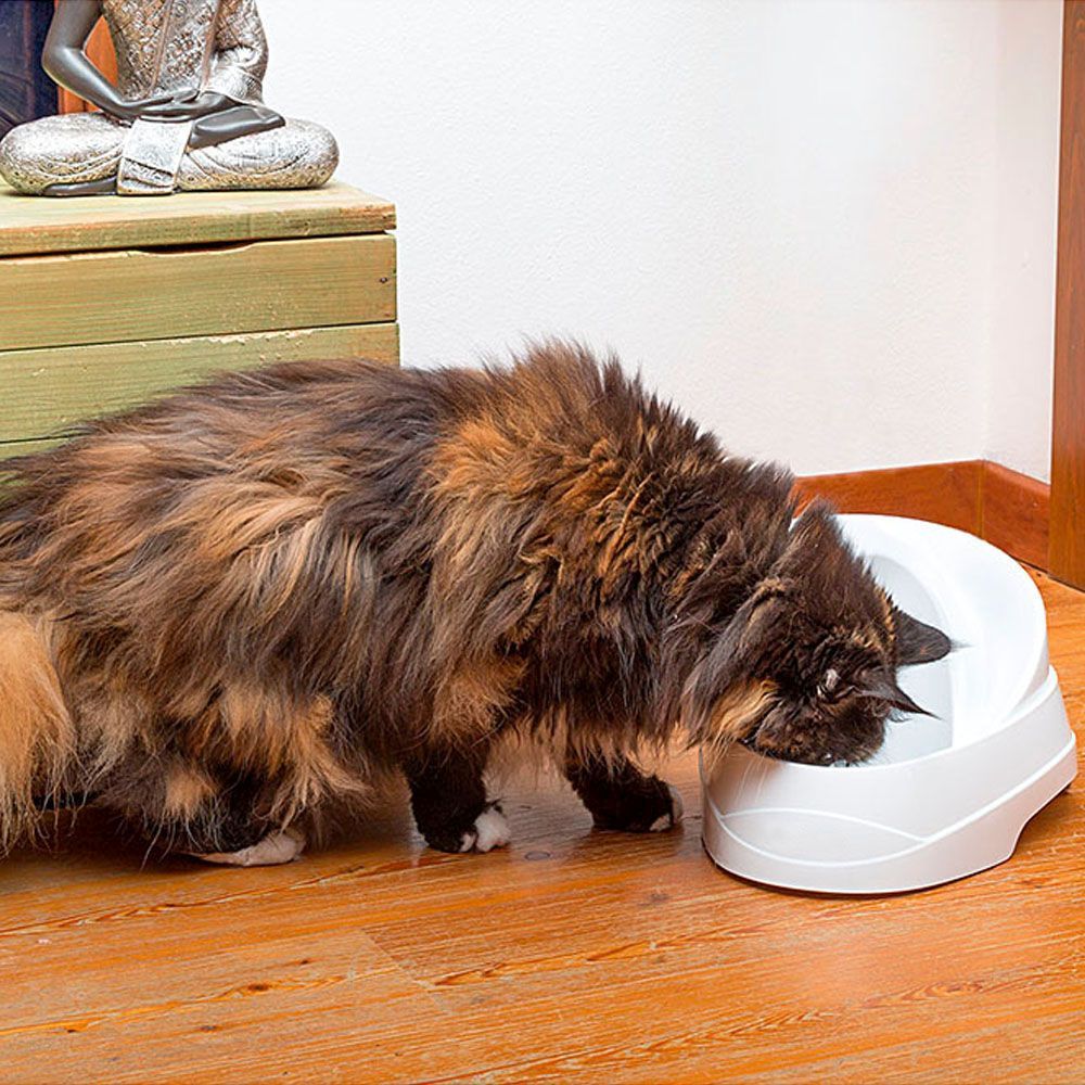 Ferplast fontaine pour chats et chiens de petite taille vega, 2 litres, avec protection antibactérienne permanente, effet source