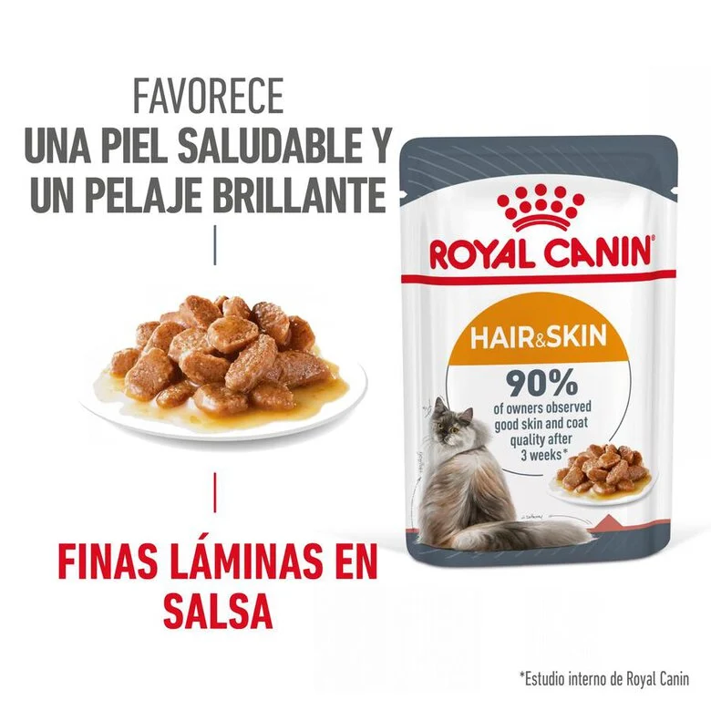 Ração Royal Canin Hair and Skin para gatos em molho.