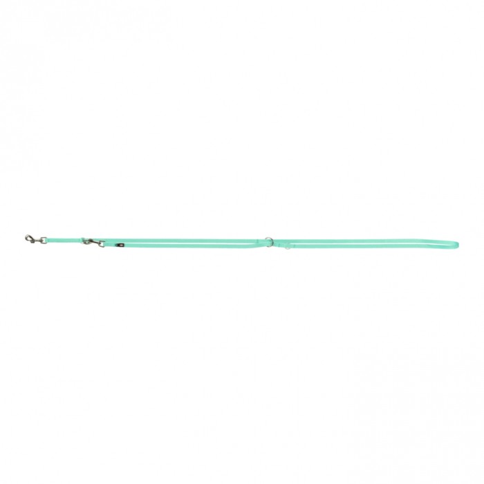 Laisse Premium réglable - Vert Menthe