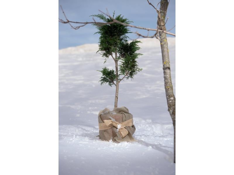 Windhager Jute-Dekoband, nature Pflanzenvlies