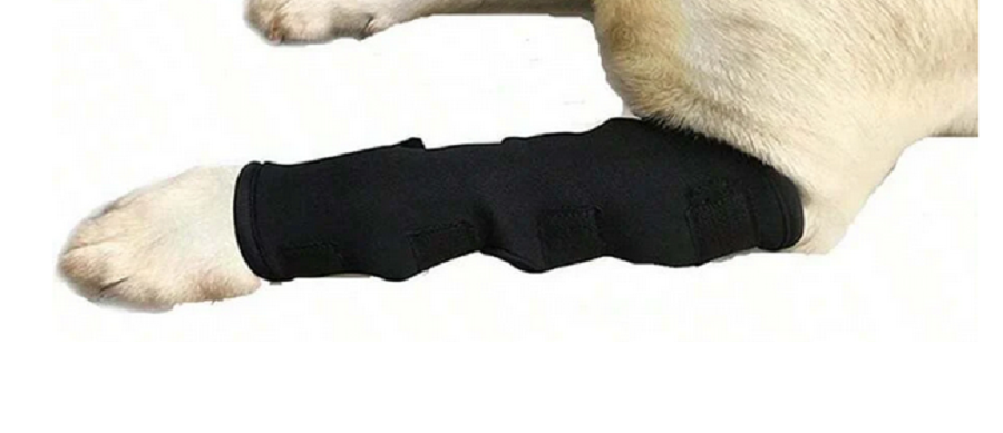 Protetor de articulação frontal tamanho G