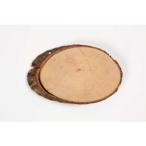 Holzscheiben mit Borke, 20 Stück