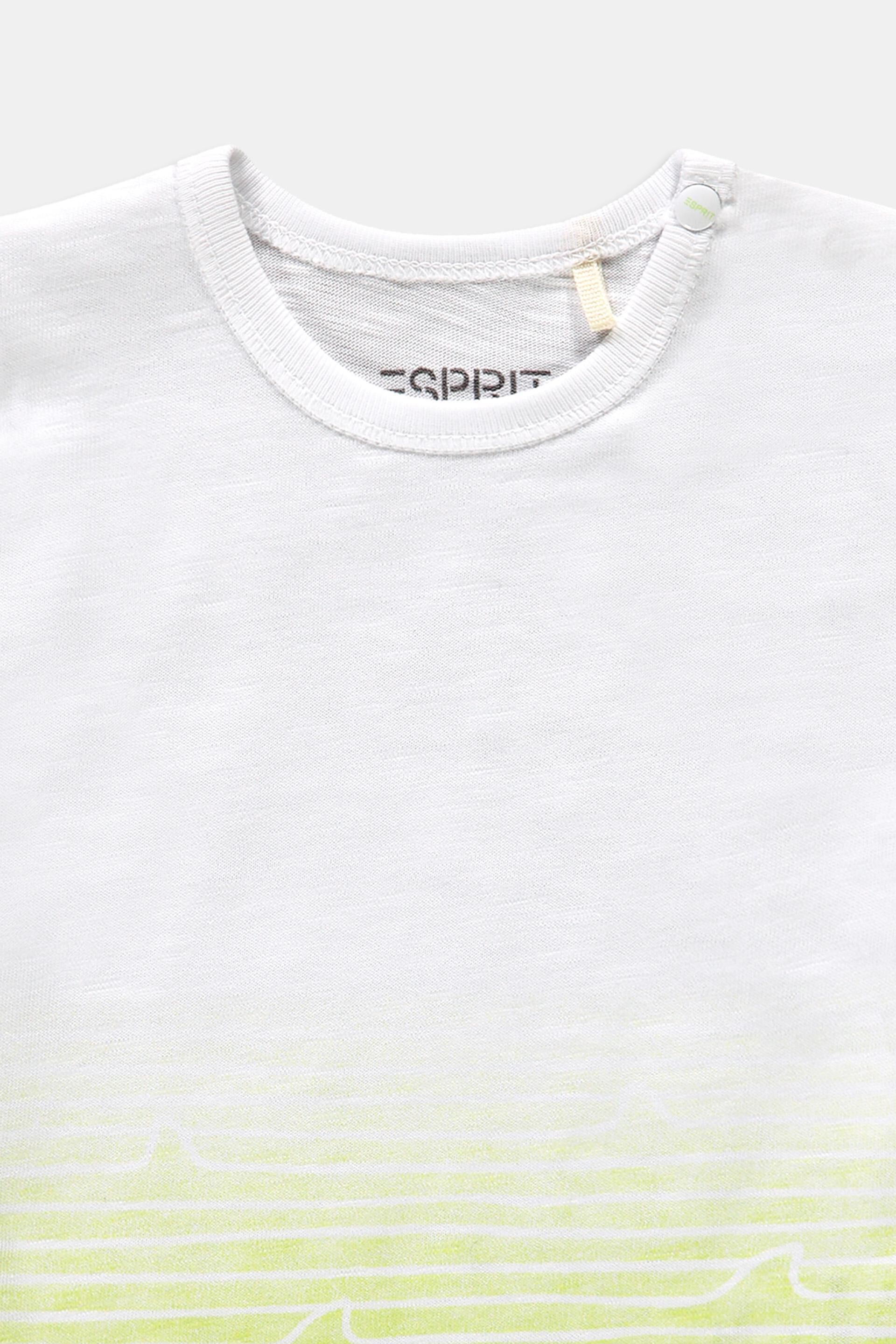 T-shirt à dégradé de couleurs, 100 % coton biologique