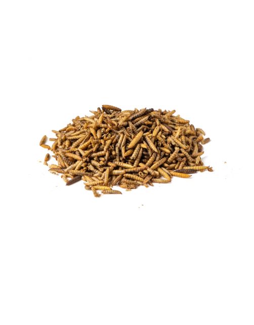 Voerwaarts Black Soldier Fly - Kippenvoer - 700 g