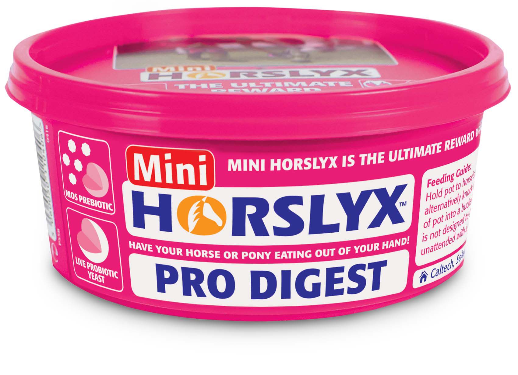 Horslyx Pro Digest - Liksteen - 650 Gram