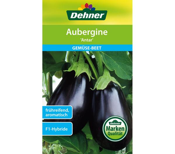 Dehner Samen Aubergine 'Antar'