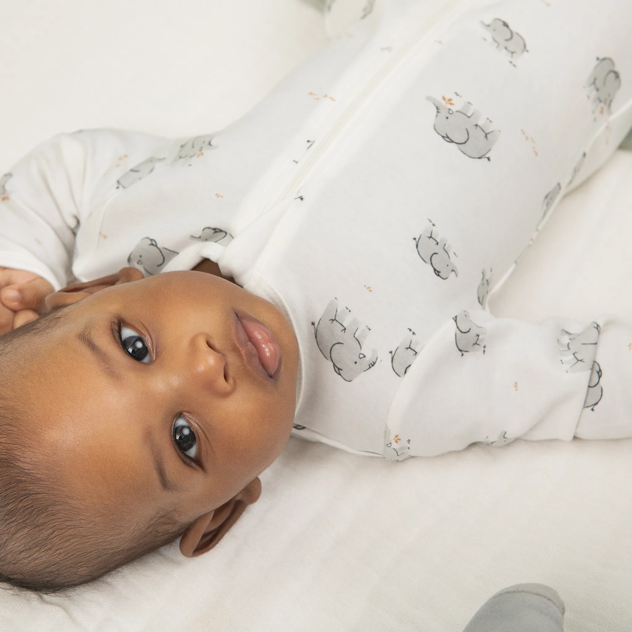 Petit Lem Pyjama Imprimé Éléphants 0-12mois