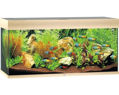 JUWEL Rio 180 aquarium met LED-verlichting, pomp, filter, verwarming (zonder kast), licht hout