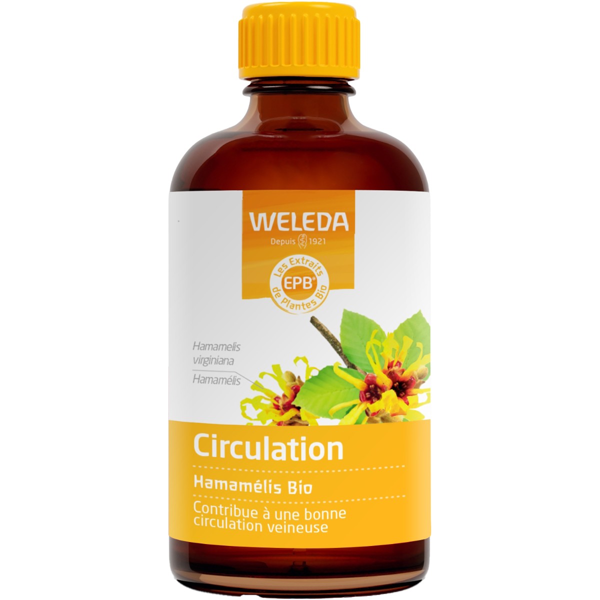 EPB® Hamamélis bio - Circulation - 100 ml