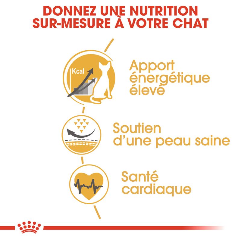 Royal Canin Sphynx Adult à prix discount sur bitiba.fr