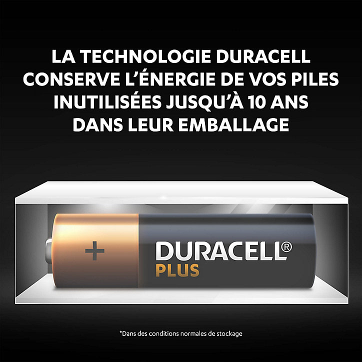 Pile alcaline AA (LR6) Duracell Plus, lot de 12