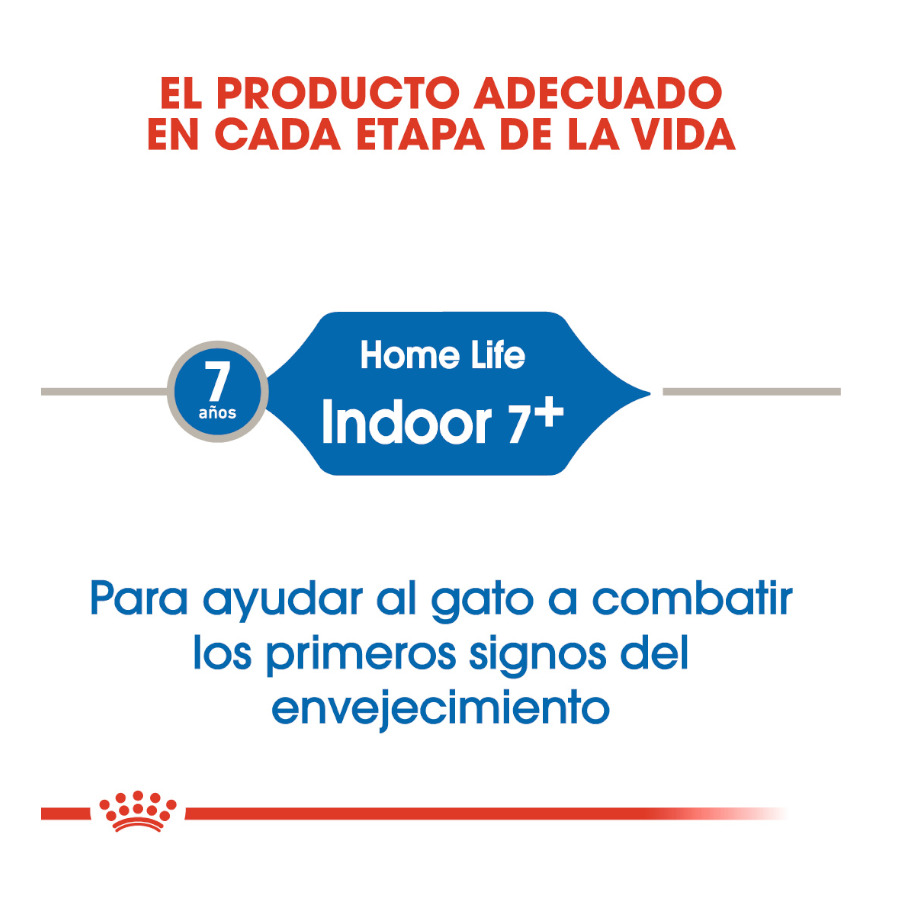 Ração Royal Canin Home Life Indoor 7+ para gatos