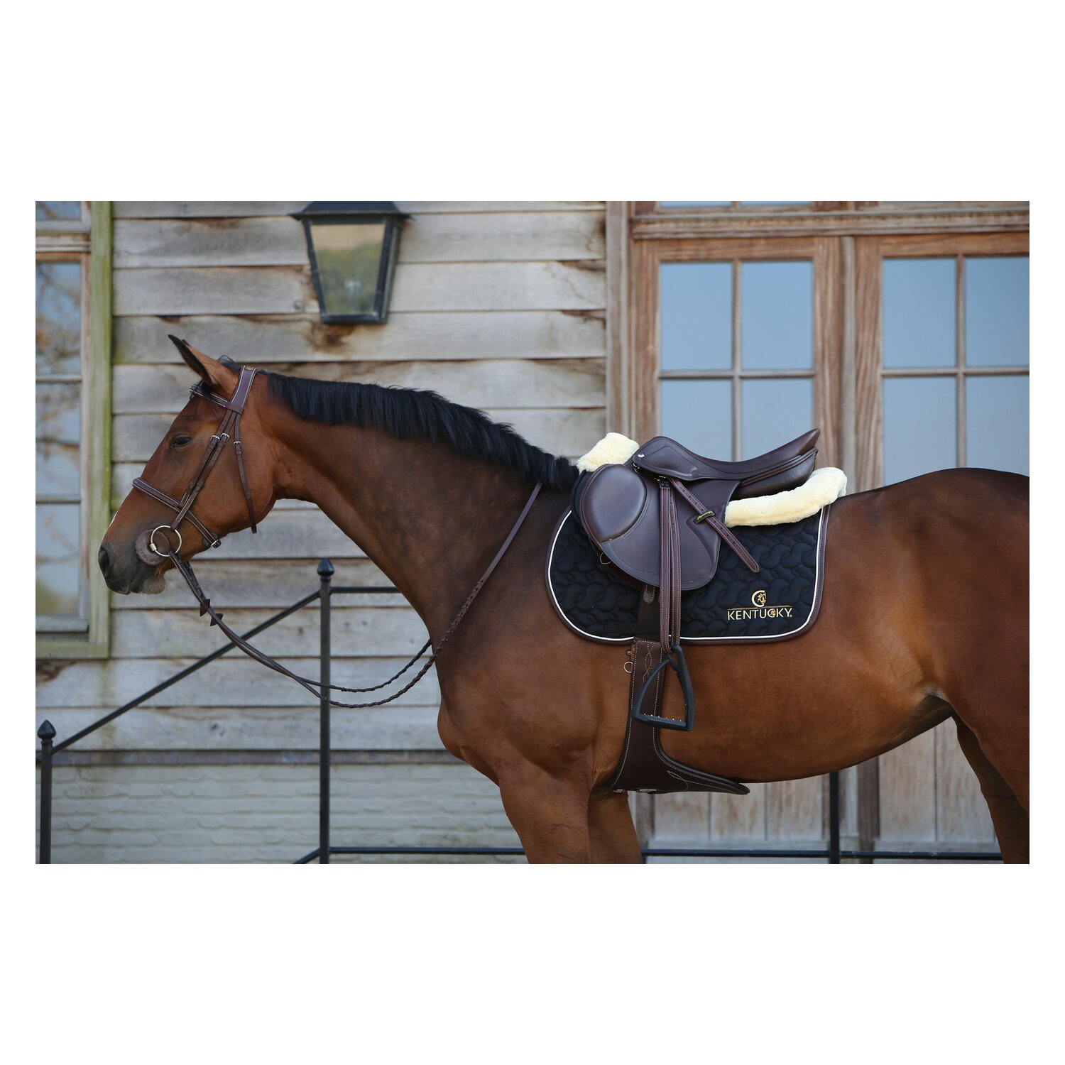 KENTUCKY Schabracke Absorb  - black/white/brown