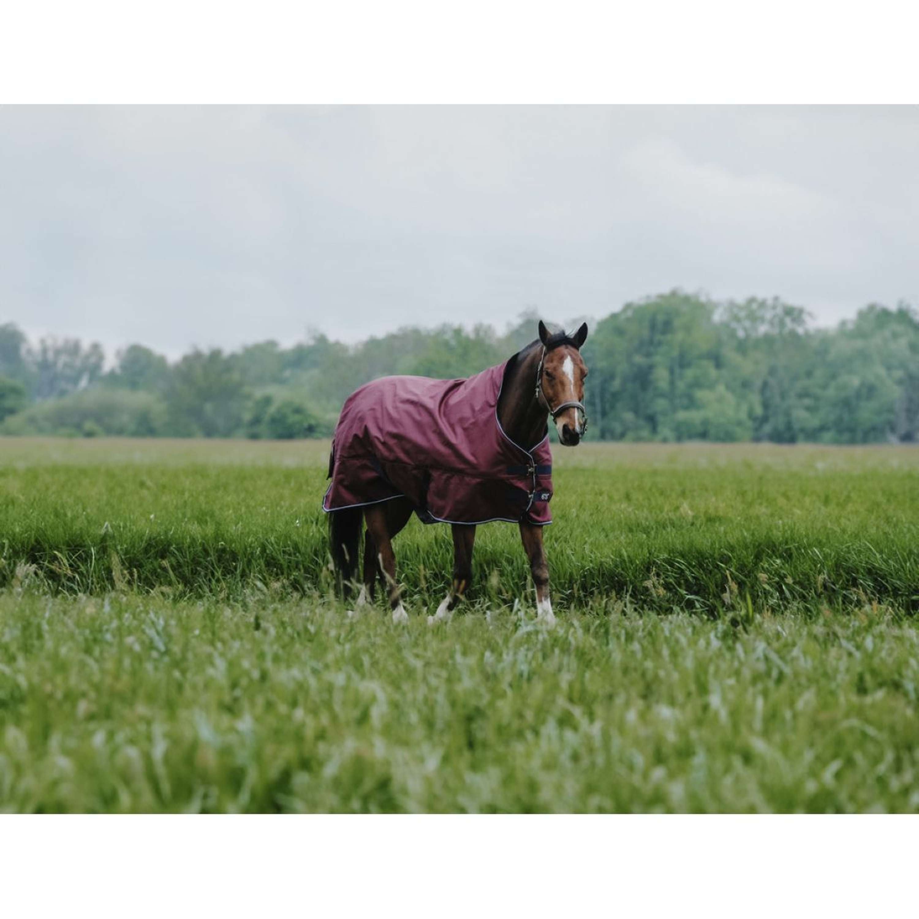 EQUITHÈME Outdoordeken Tyrex 1200D 150g High Neck Burgundy