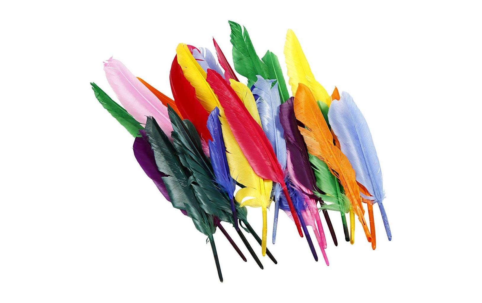 Federn 17 - 20 cm 250 StückBunte Federn