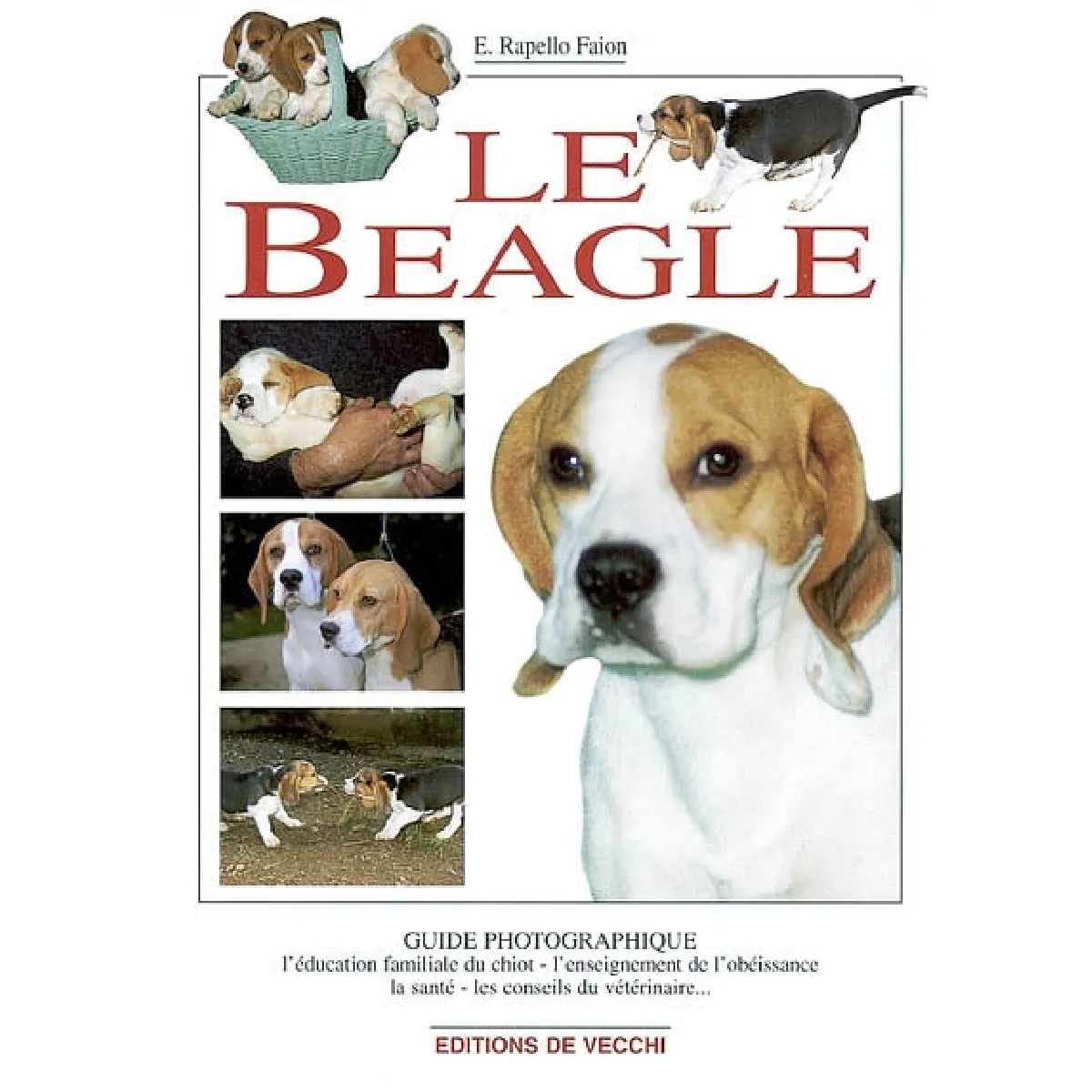 Le beagle : un chiot à la maison, lui apprendre à obéir, sa santé, ses relations avec les enfants, comment le rendre heureux · Occasion