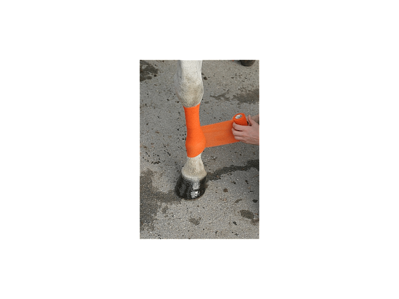 Bandage Powerflex Paard 18 stuks