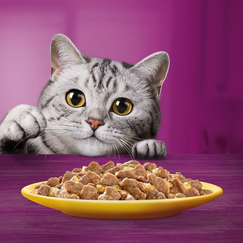 Whiskas 1+, adulte 12 x 85 g