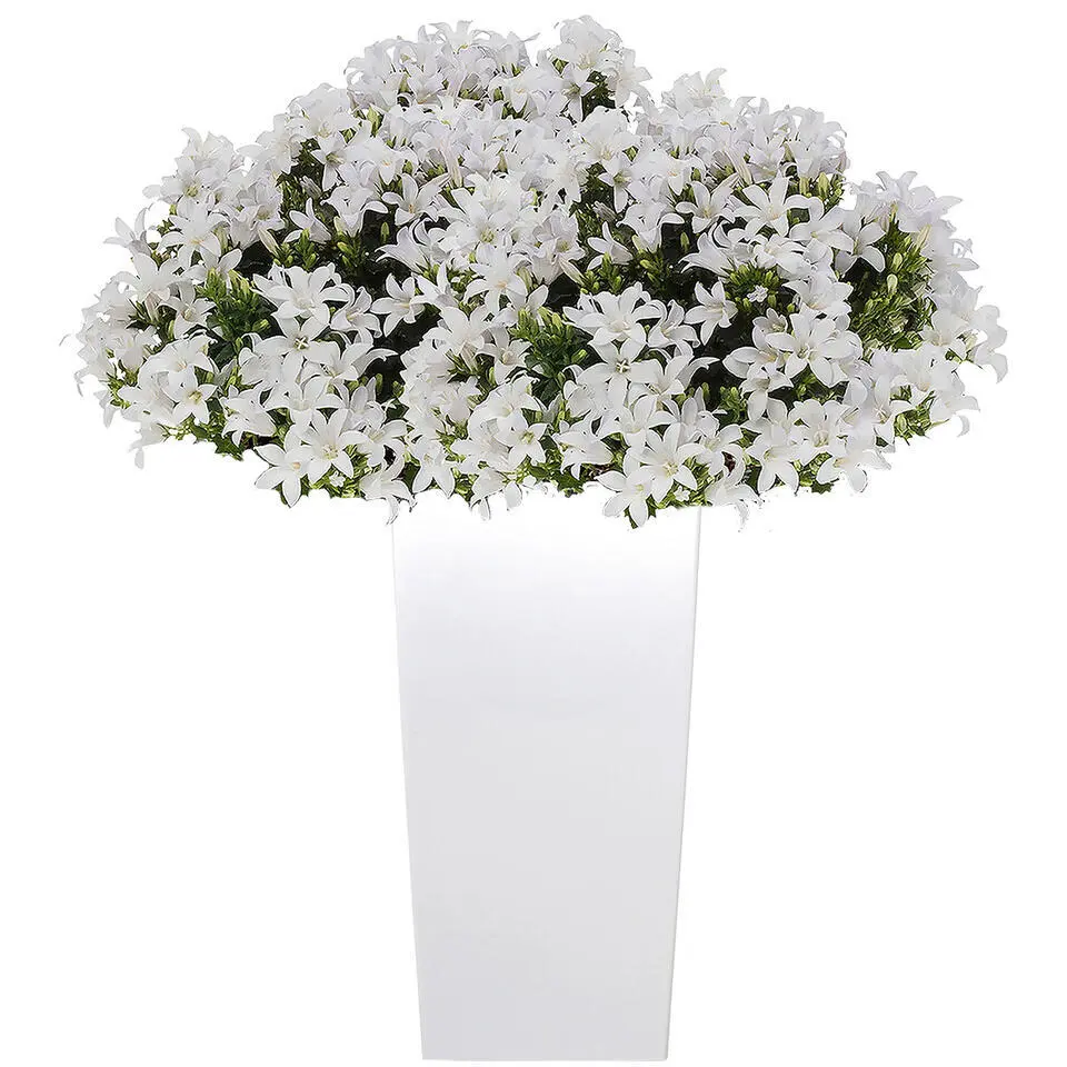 Bloempot/plantenpot Urbi - wit - 19 x 19 x 37 cm