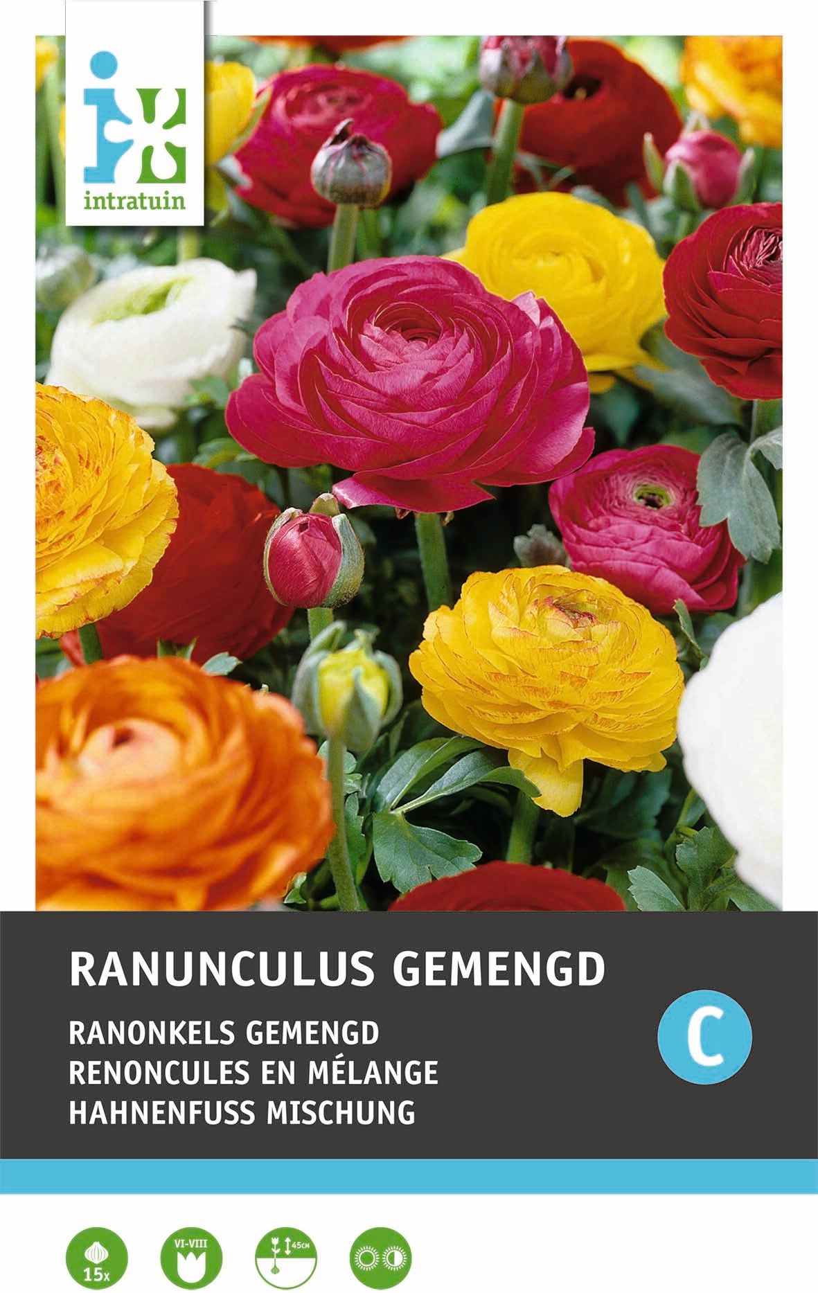 Intratuin bloemknol Ranonkel (Ranunculus) gemengd 15 stuks