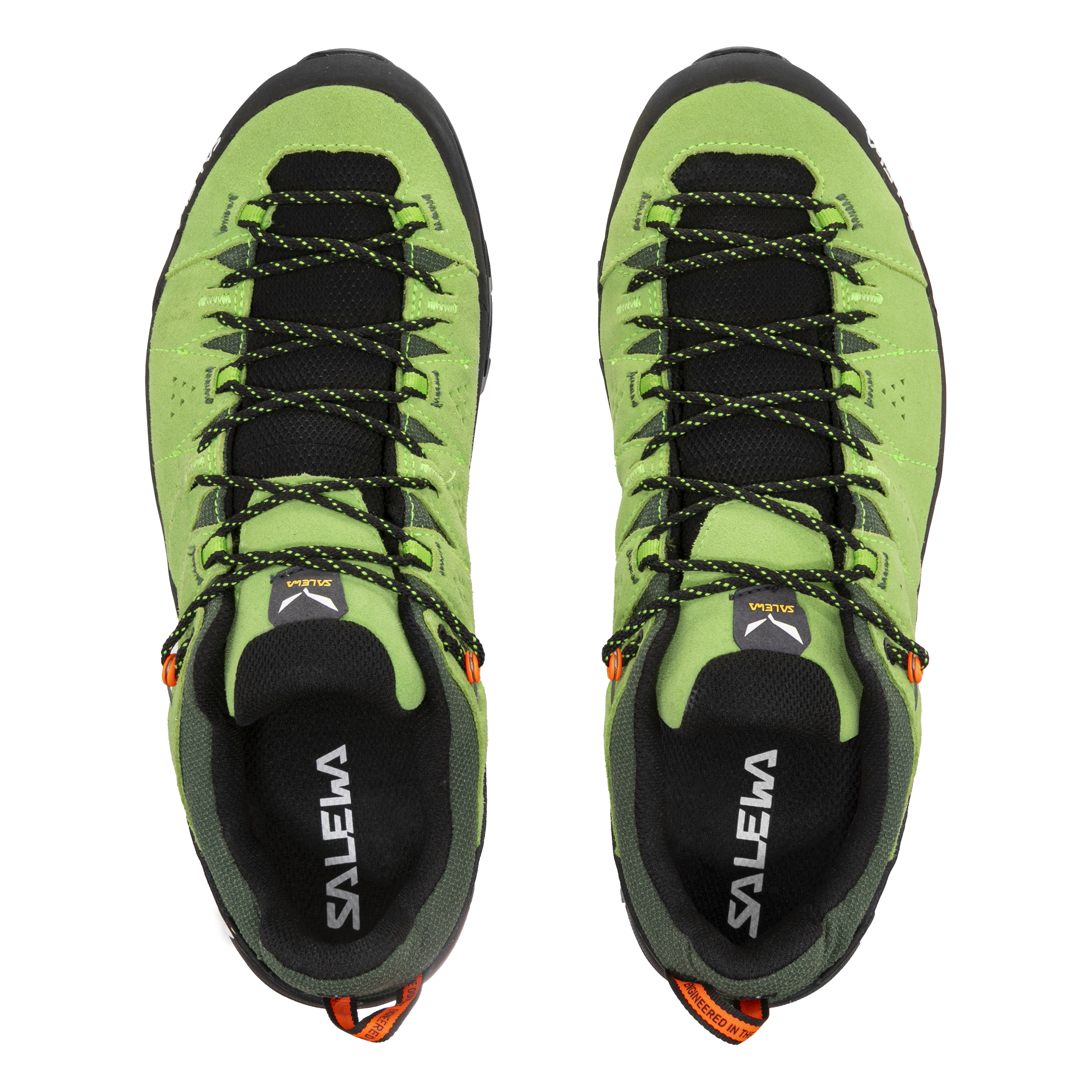 Alp Trainer 2 Gore-Tex® Schuh Herren