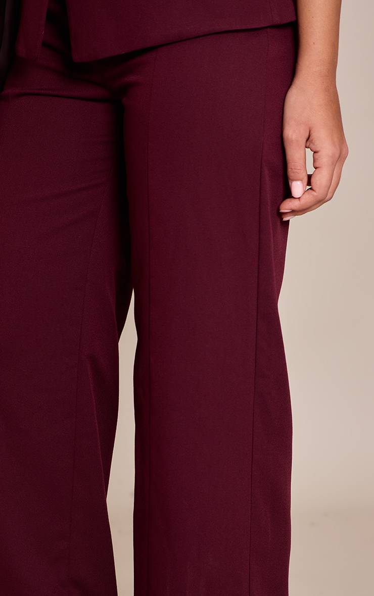 Dark Plum Pantalon À Détails De Coutures Prune Foncé