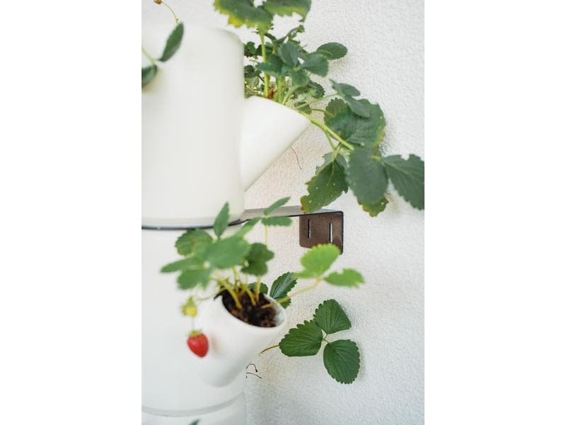 Gusta Garden Aufzuchttöpfe SISSI STRAWBERRY Infinity, Weiss Urban Gardening Erdbeerbaum