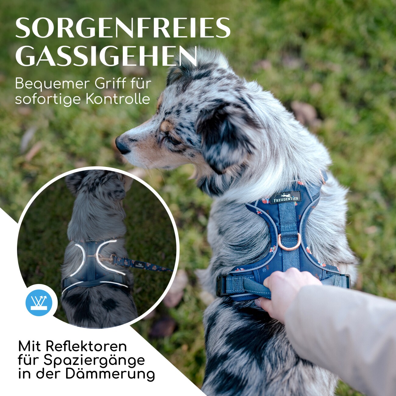 Freudentier atmungsaktives Hundegeschirr 