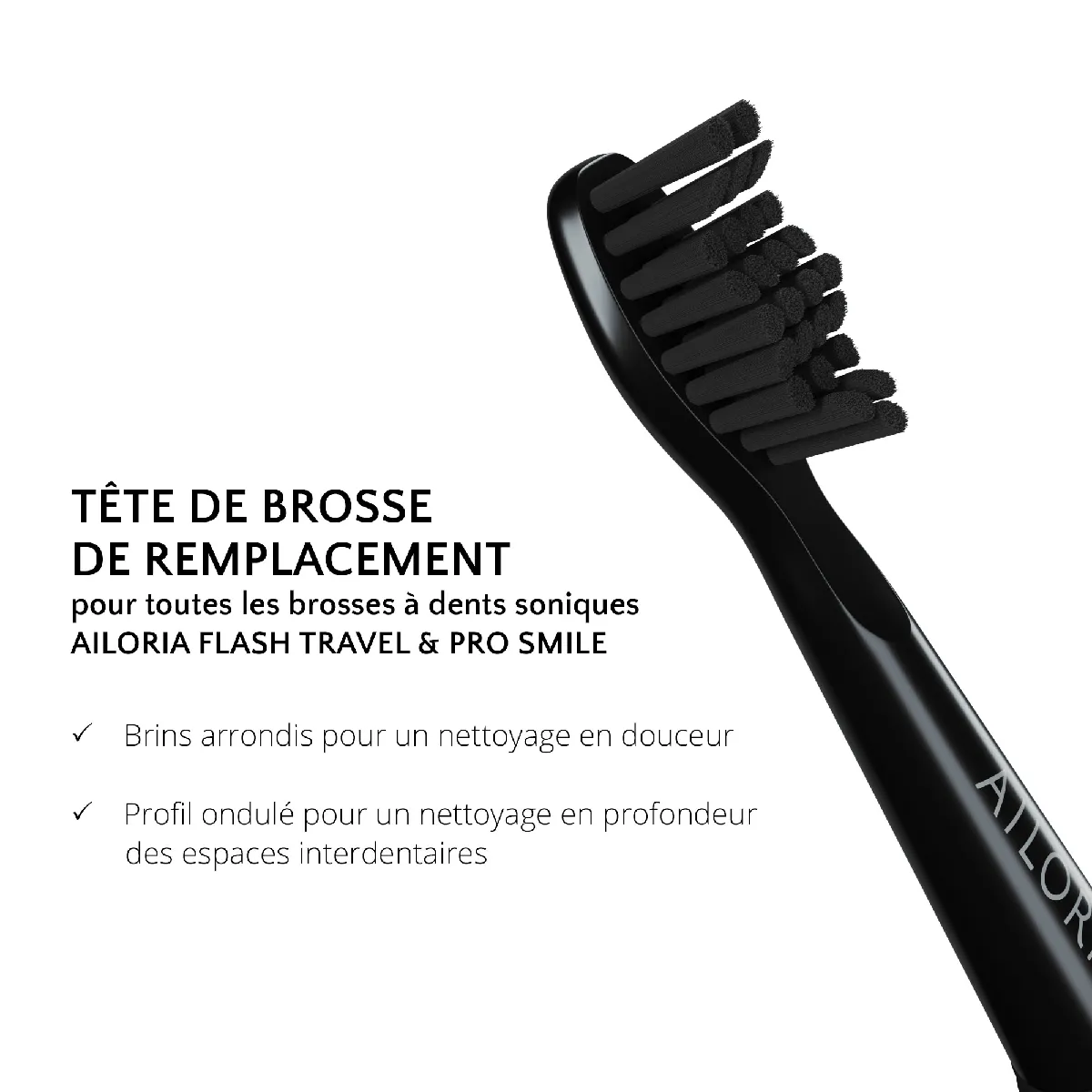 Ailoria - Têtes de Brosse FLASH TRAVEL (12 Unités)