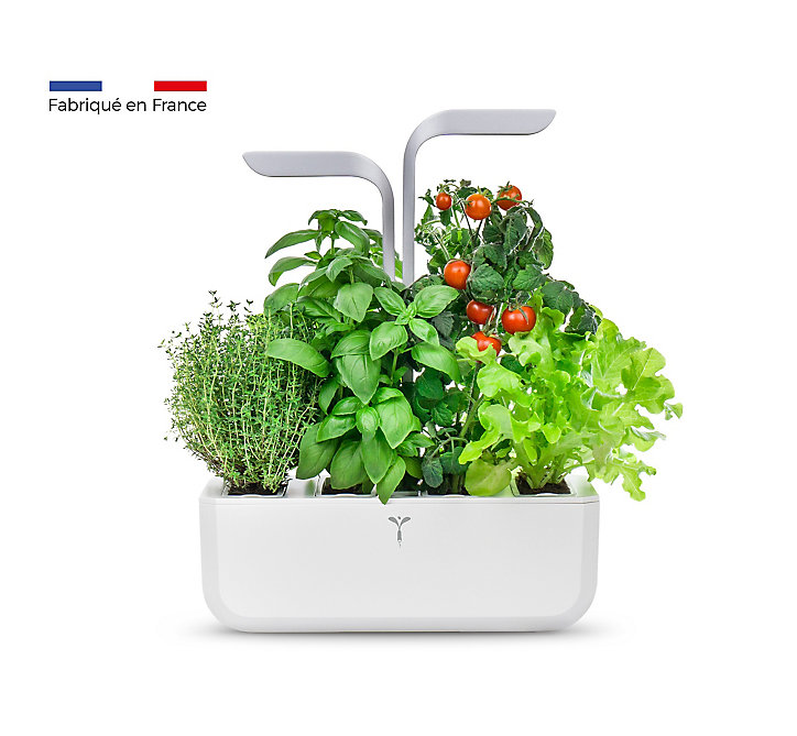 Potager d'intérieur Véritable® Smart Arctic White