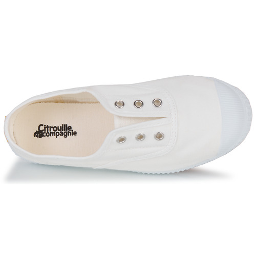 Citrouille et Compagnie - WOODEN - Blanc