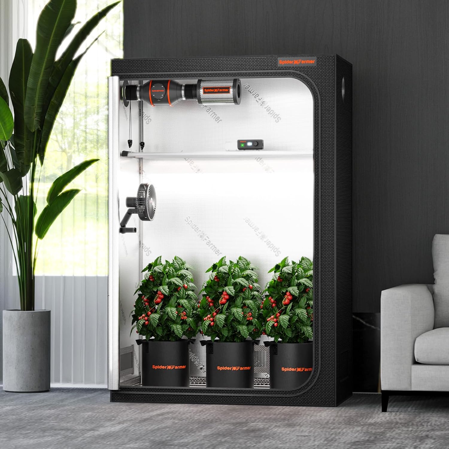 Spider Farmer Growzelt 120x60x180 cm für Indoor Lichtdicht und Wasserdicht Anbauzelt Grow Tent Growschrank für Homegrowing Pflanzenzucht Gewächshaus Indoor Zuchtzelt für SF2000