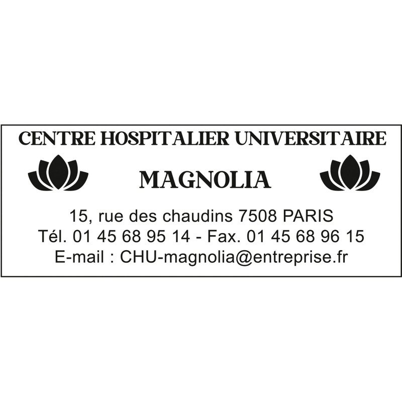 Plaque 58 X 22MM pour tampon Trodat 4913 réf PL 4913