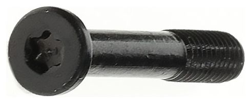Vis pour Adaptateur Bosch System Controller