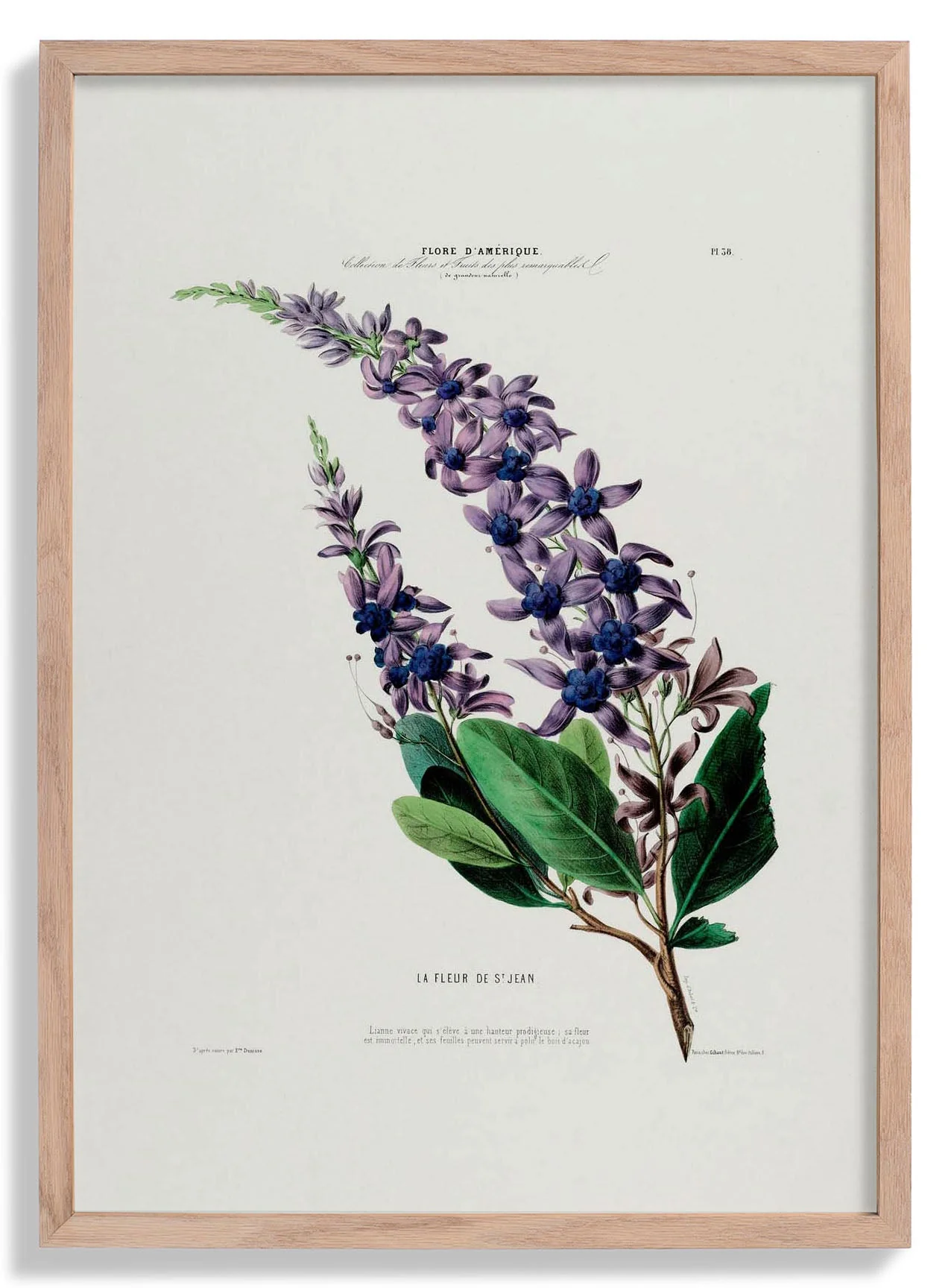 La Fleur De St Jean
