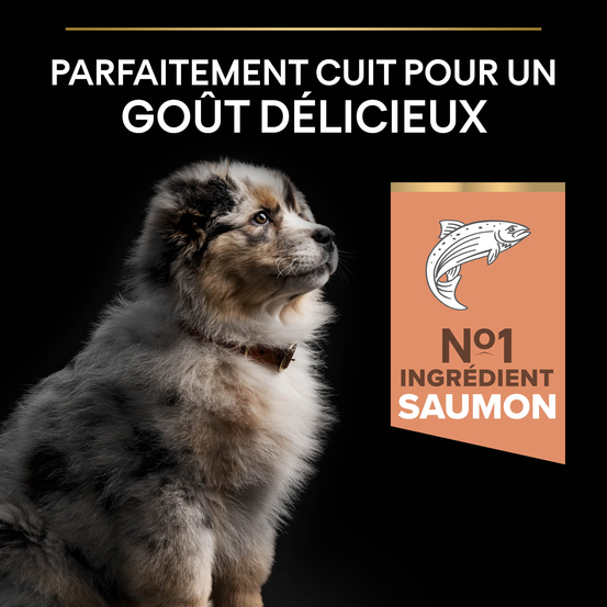 Croquettes chiot de moyenne taille peau sensible - 12 kg