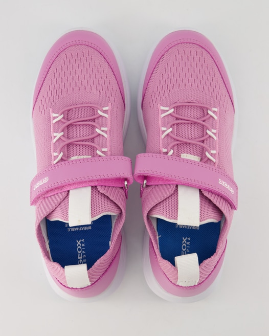 Geox SPHERICA GIRL Sneaker in Pink