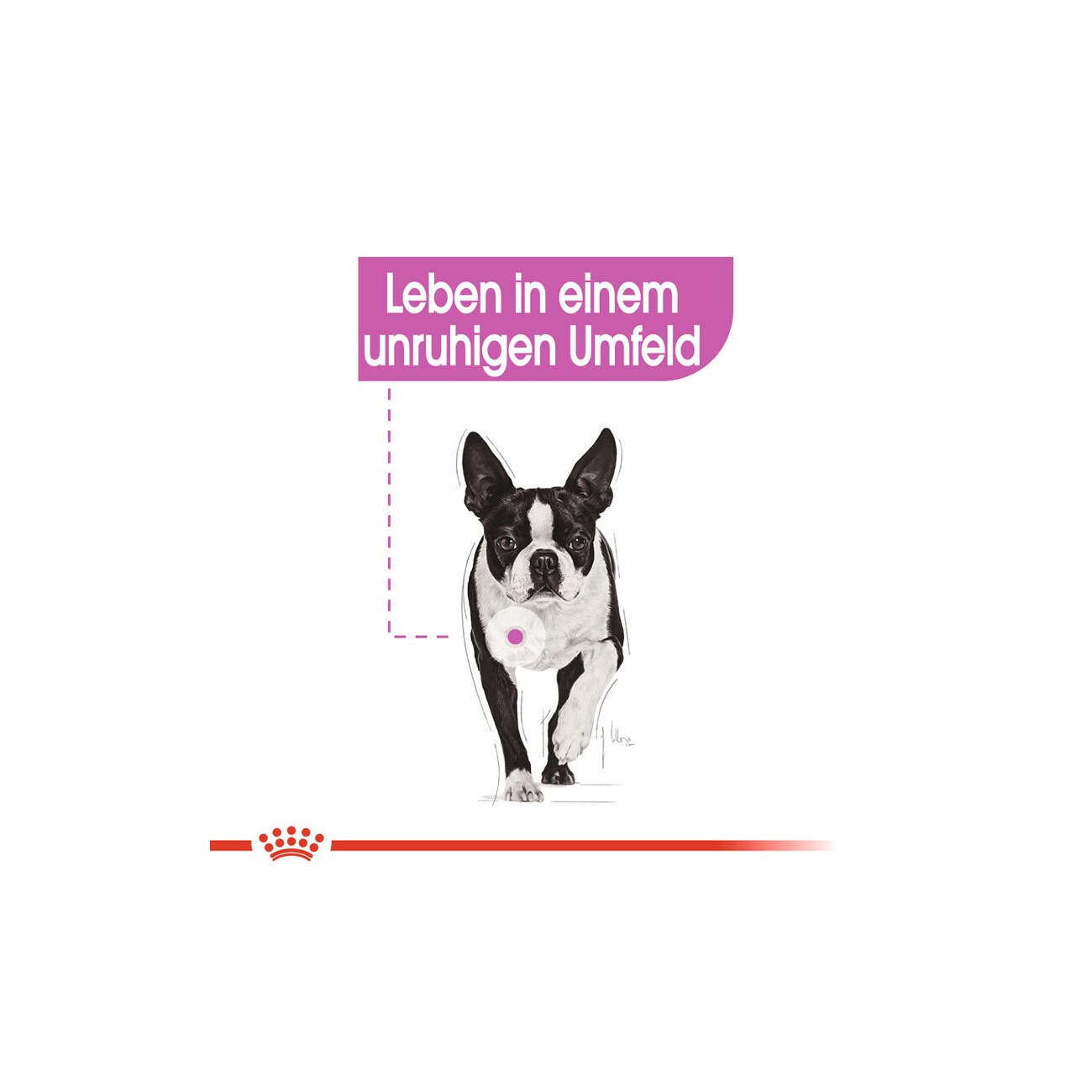 ROYAL CANIN Relax Care Mini 3 kg