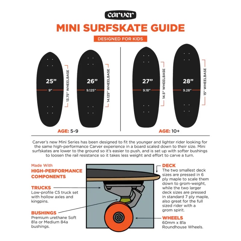 Carver Mini Lazer fazer - 26