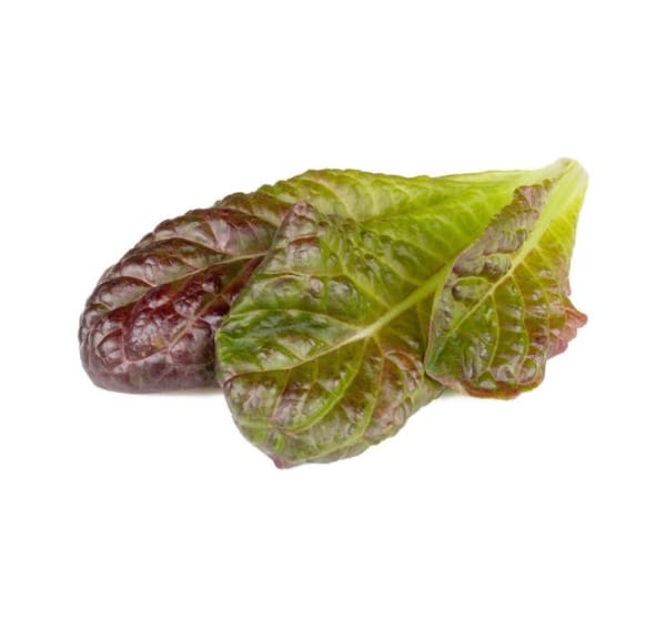 Click & Grow Smart Refill Rød romaine salat 3stk