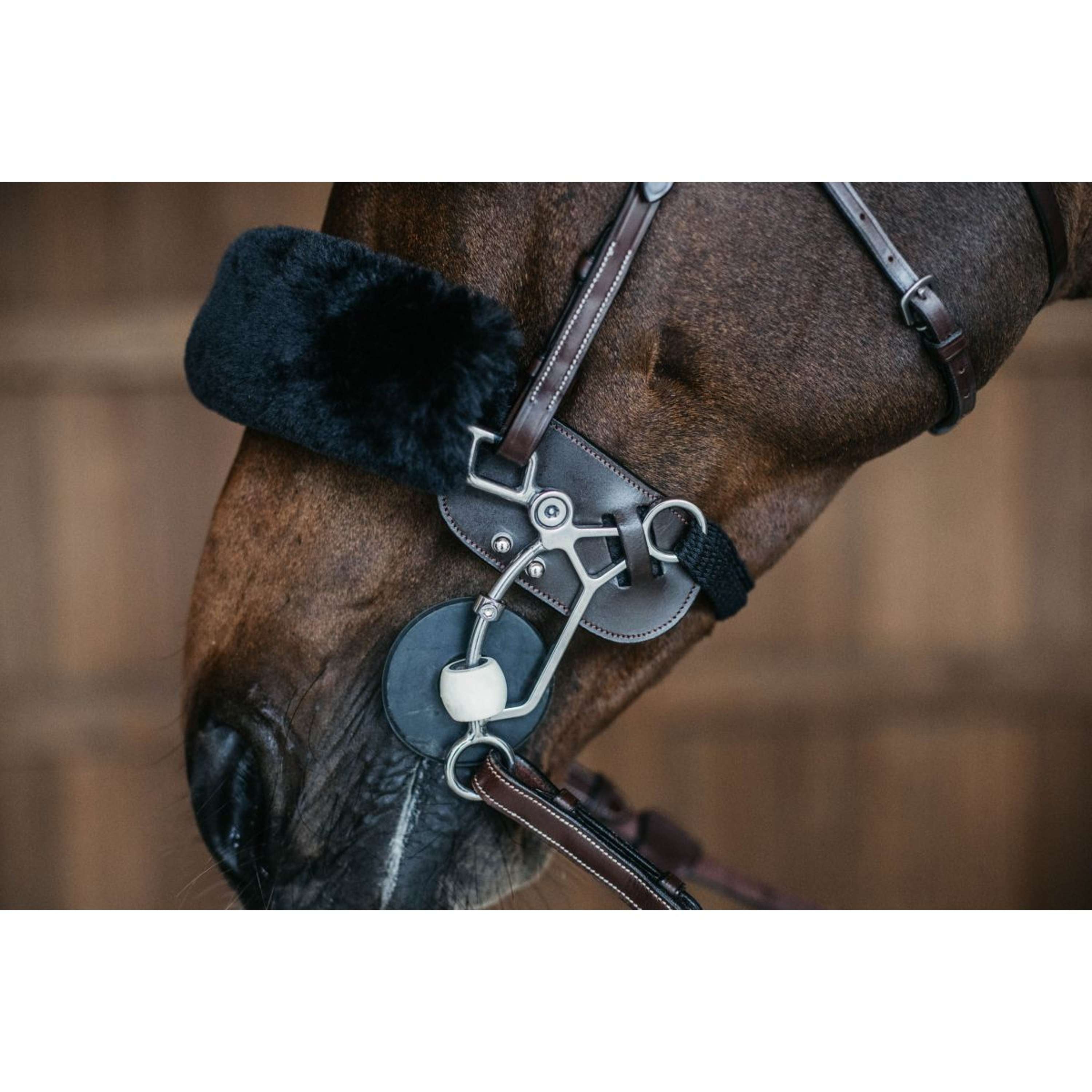 Dyon Hackamore Bescherming Bruin