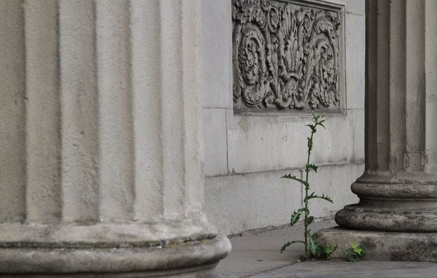 Fotokurs in Hannover als Geschenk