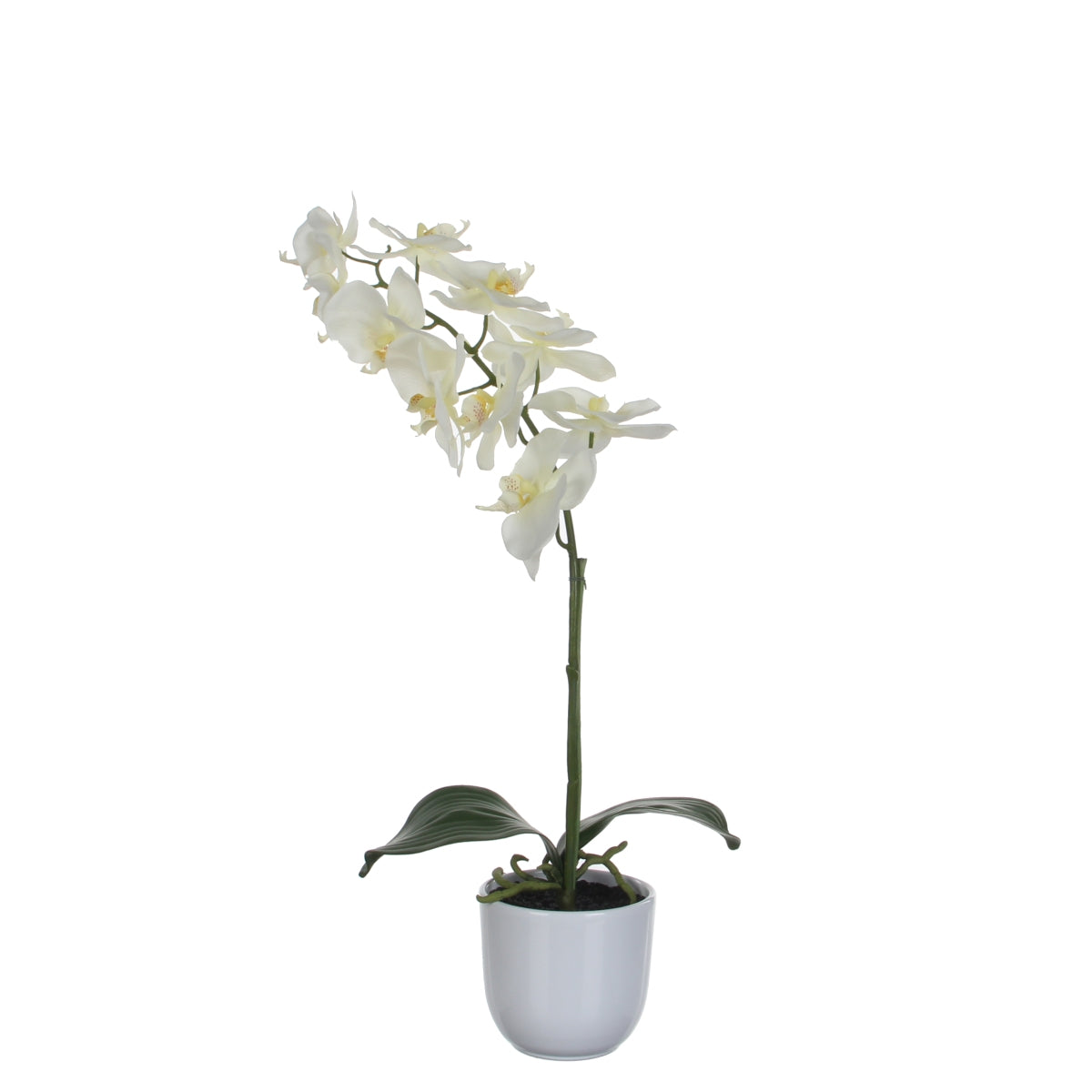 Orchidée artificielle blanche en pot h60