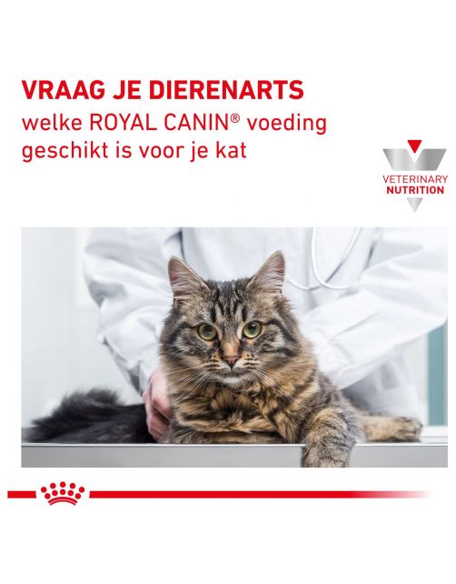 Royal Canin Veterinary Diet Cat Renal Special - Kattenvoer - 400 g