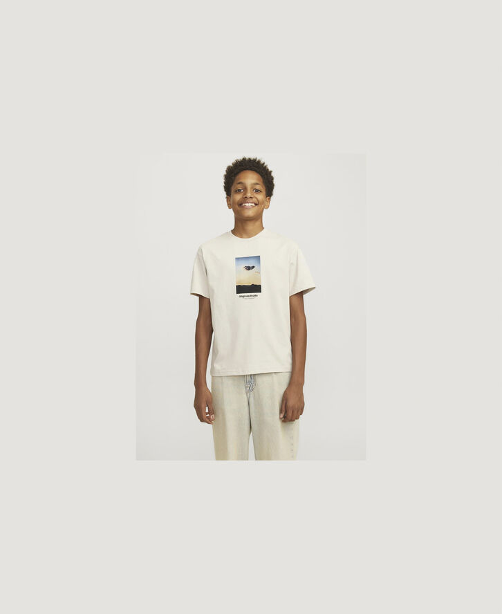 Jack & Jones JORVESTERBRO PICTURE TEE SS CREW JN Moonbeam/aw24