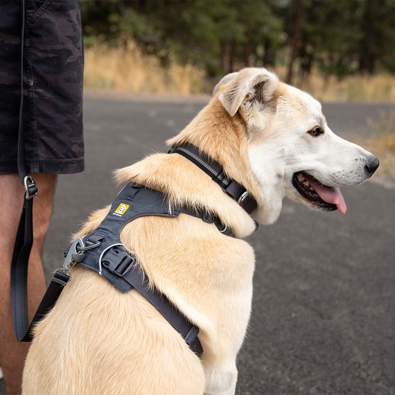 Harnais Ruffwear Front Range