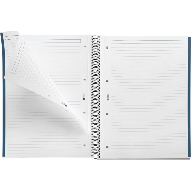 Notebook The Original, Couverture rigide, A4, lignes horizontales, 80 feuilles de 1 couleur, Miquelrius, Océan.