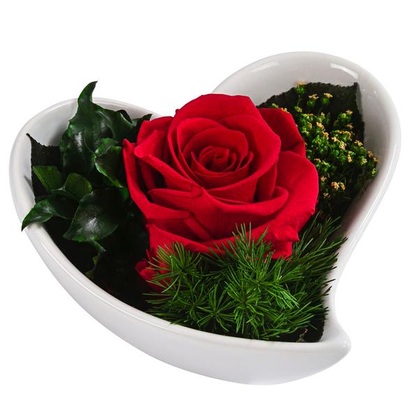 Dehner Herzschale mit Longlife-Rose Lena, ca.